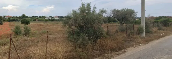 5,440 m² Plot for Sale in Artemida, Athens Eastern Suburbs — photo 3