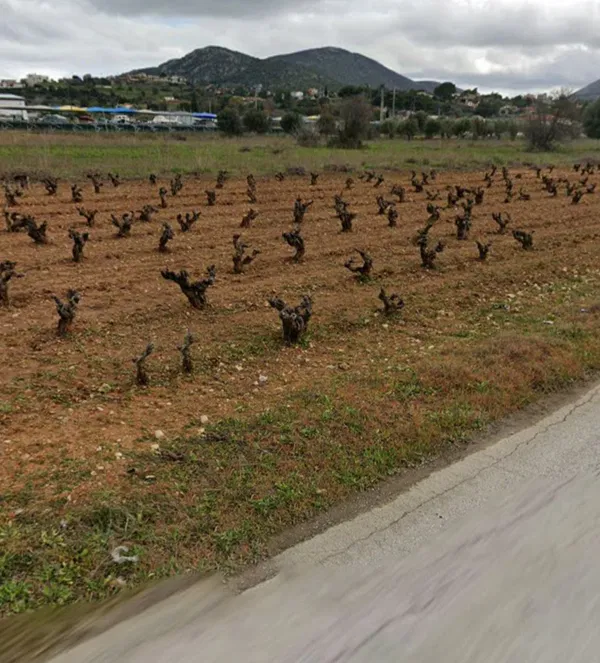 13,970 m² Land for Sale in Porto Rafti, Attica