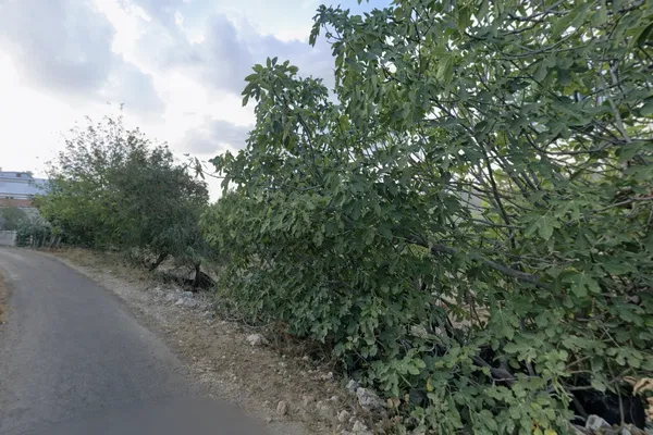 2,068 m² Plot of Land for Sale in Agios Ioannis, Chania