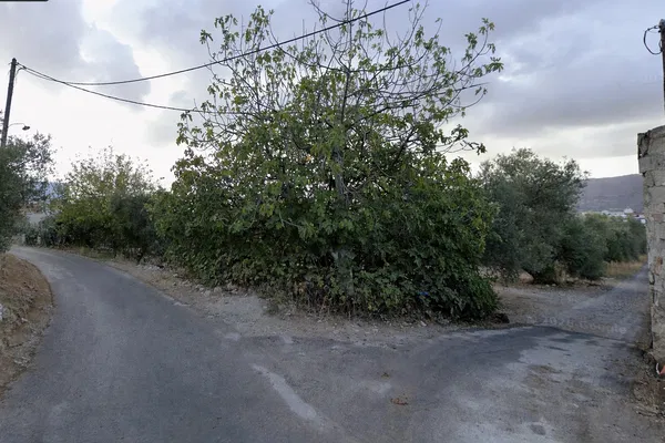 1,575 m² Plot for Sale in Agios Ioannis, Chania