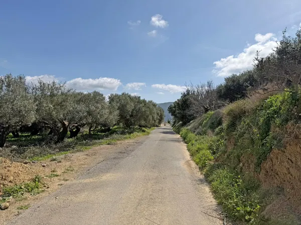 1,500 m² Plot of Land for Sale in Kissamos, Chania — photo 5