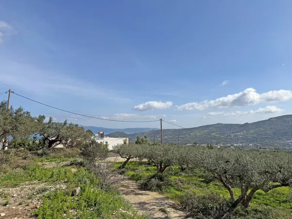 1,500 m² Plot of Land for Sale in Kissamos, Chania