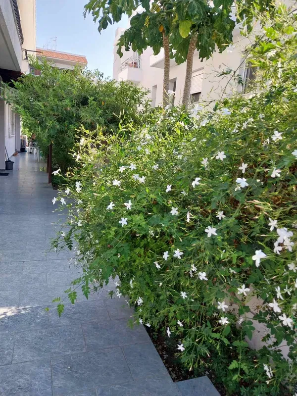 170 m² Three-Bedroom Villa for Sale in Rhodes, Dodecanese Islands — photo 3