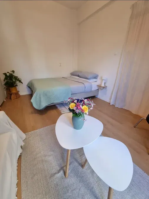 One-Bedroom Renovated Apartment for Sale in Keramikos, Athens Center — photo 4
