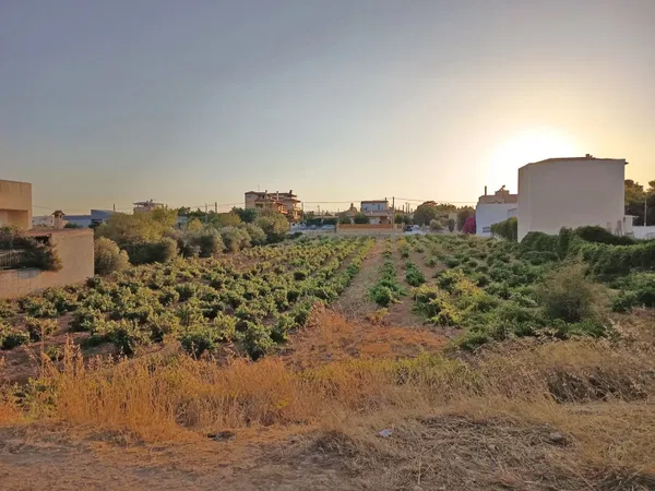 1,455 m² Plot for Sale in Artemida, Athens Eastern Suburbs