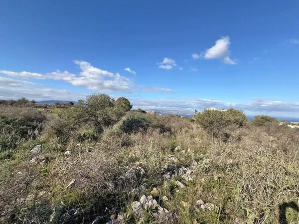 Sea-View 4,176 m² Land for Sale in Vamos, Apokoronas — photo 5