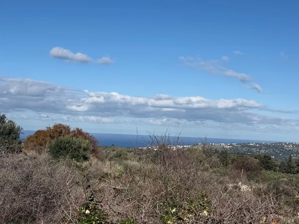 Sea-View 4,176 m² Land for Sale in Vamos, Apokoronas — photo 4