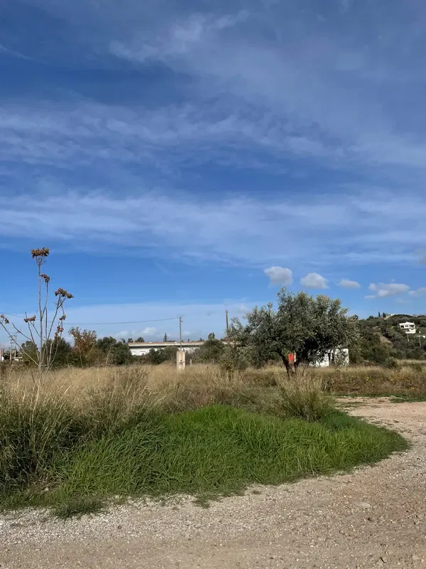 4,000 m² Plot of Land for Rent in Spata, Athens Eastern Suburbs — photo 2