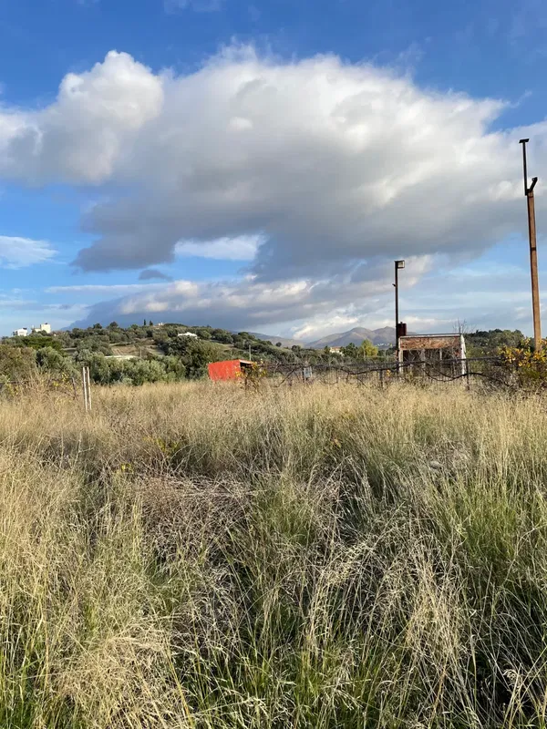 4,000 m² Plot of Land for Rent in Spata, Athens Eastern Suburbs — photo 4