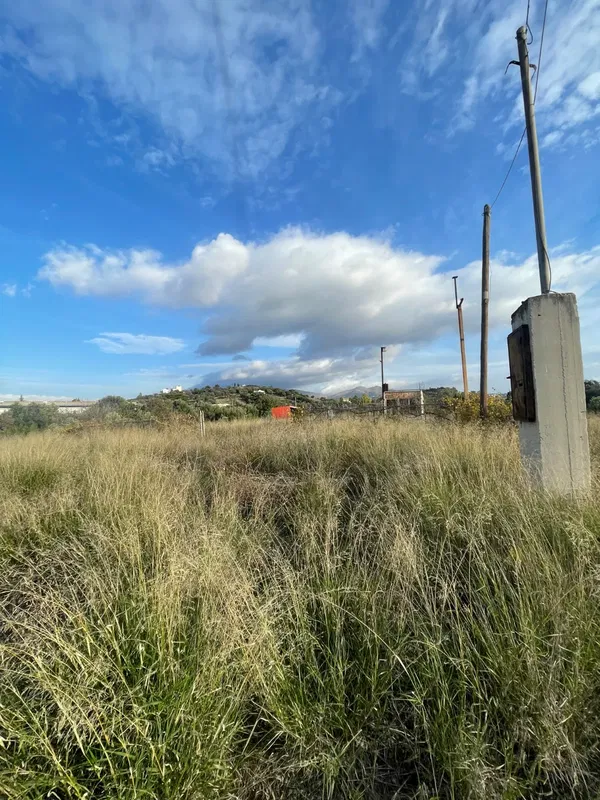 4,000 m² Plot of Land for Rent in Spata, Athens Eastern Suburbs — photo 3