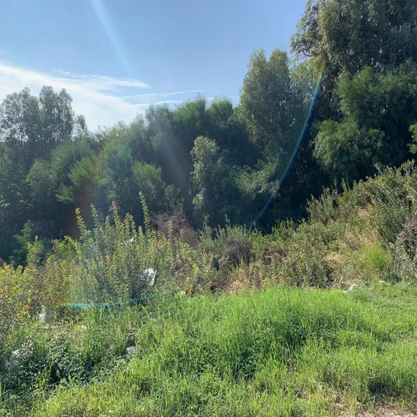 5,060 m² Land for Sale in Rhodes, Dodecanese Islands — photo 3