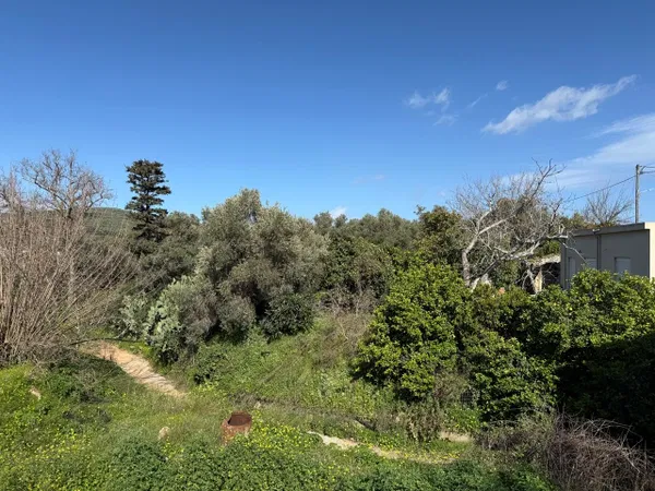 Villa for Sale in Voukolies, Chania — photo 4