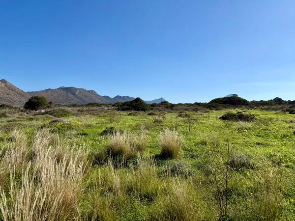 14,314 m² Plot of Land for Sale in Stavros, Akrotiri — photo 2