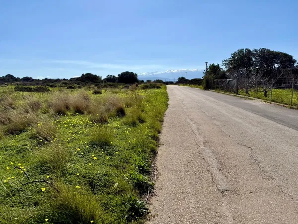 14,314 m² Plot of Land for Sale in Stavros, Akrotiri