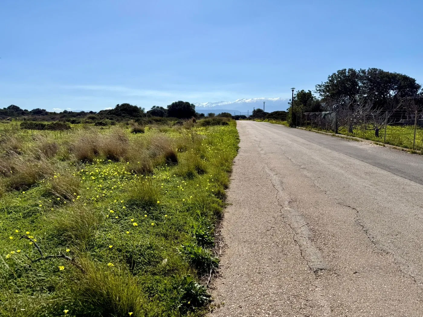 14,314 m² Plot of Land for Sale in Stavros, Akrotiri