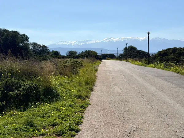 14,314 m² Plot of Land for Sale in Stavros, Akrotiri — photo 3