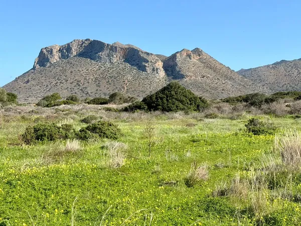 14,314 m² Plot of Land for Sale in Stavros, Akrotiri — photo 4