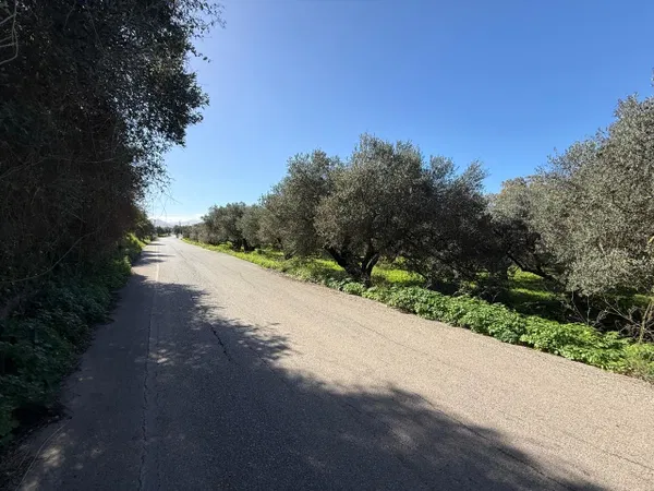 6,033 m² Plot of Land for Sale in Voukolies, Chania — photo 4