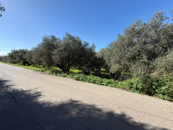 6,033 m² Plot of Land for Sale in Voukolies, Chania — photo 5