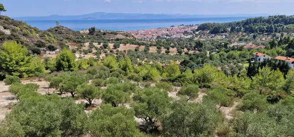 Sea-View Three-Bedroom Villa for Sale in Pefkochori Pallini, Pallini Halkidiki — photo 4