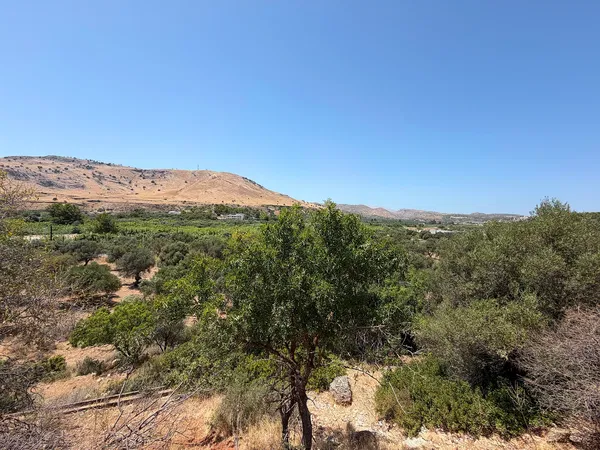 28,540 m² Land for Sale in Rhodes, Dodecanese Islands — photo 3