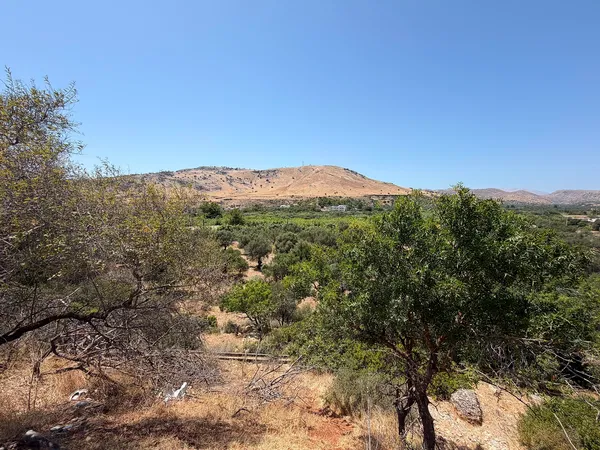 28,540 m² Land for Sale in Rhodes, Dodecanese Islands — photo 5