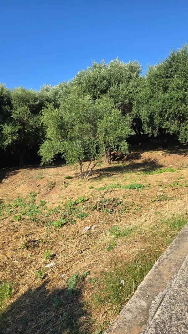 469 m² Land for Sale in Kalamata, Peloponnese — photo 3