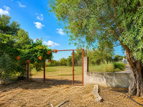 1,409 m² Land for Sale in Pirgos Psilonerou, Platanias — photo 2