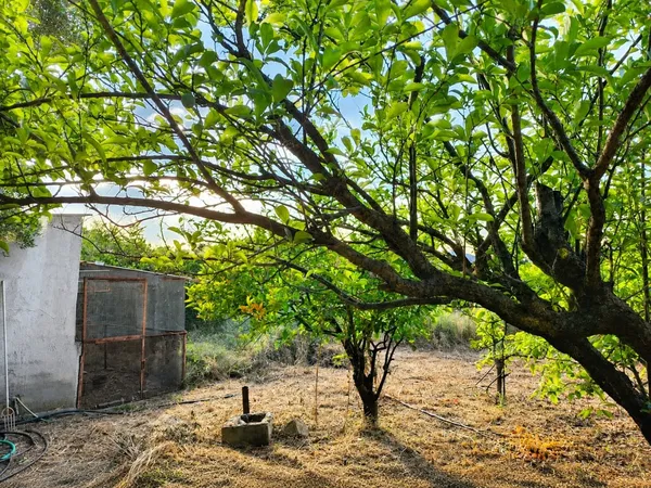 1,409 m² Land for Sale in Pirgos Psilonerou, Platanias — photo 3