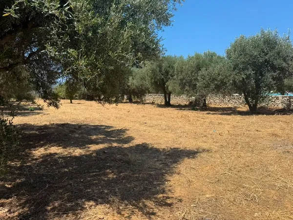 2,588 m² Plot of Land for Sale in Agia Marina, Chania — photo 5