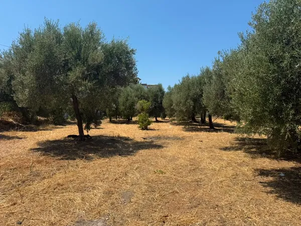 2,588 m² Plot of Land for Sale in Agia Marina, Chania — photo 3