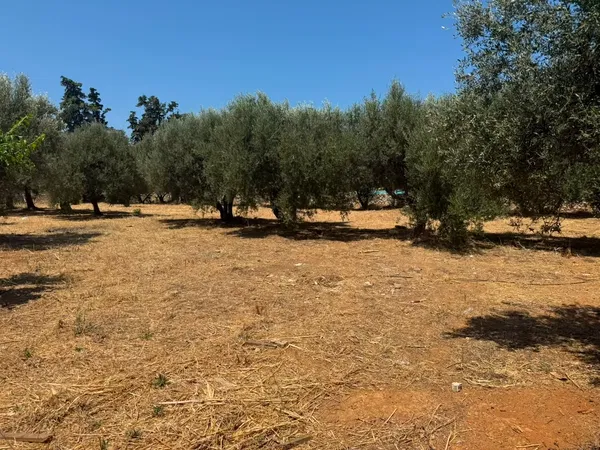 2,588 m² Plot of Land for Sale in Agia Marina, Chania — photo 4