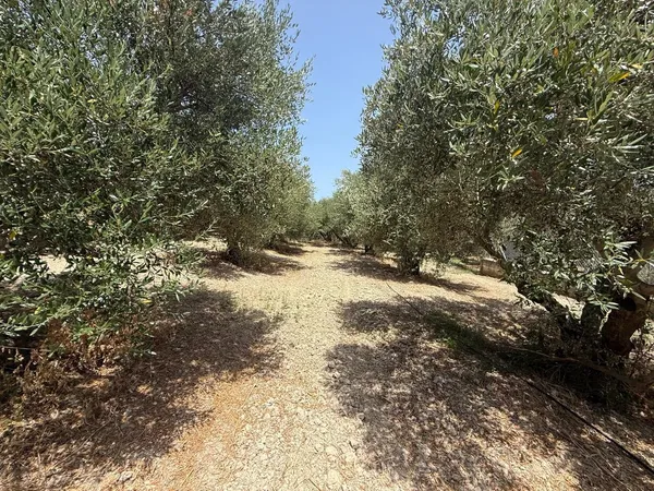325 m² Plot of Land for Sale in Platanias, Chania