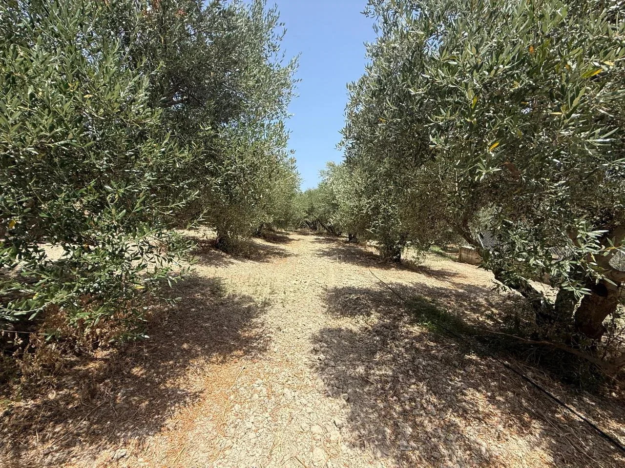 325 m² Plot of Land for Sale in Platanias, Chania