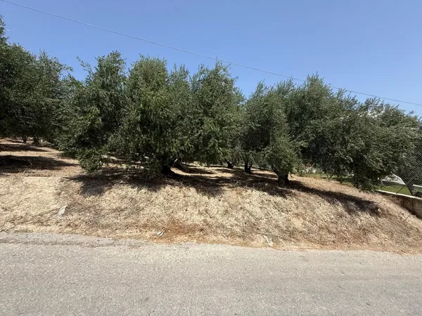 325 m² Plot of Land for Sale in Platanias, Chania — photo 3