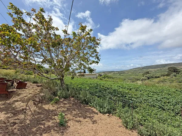 2,143 m² Plot of Land for Sale in Rodopou, Kissamos — photo 3