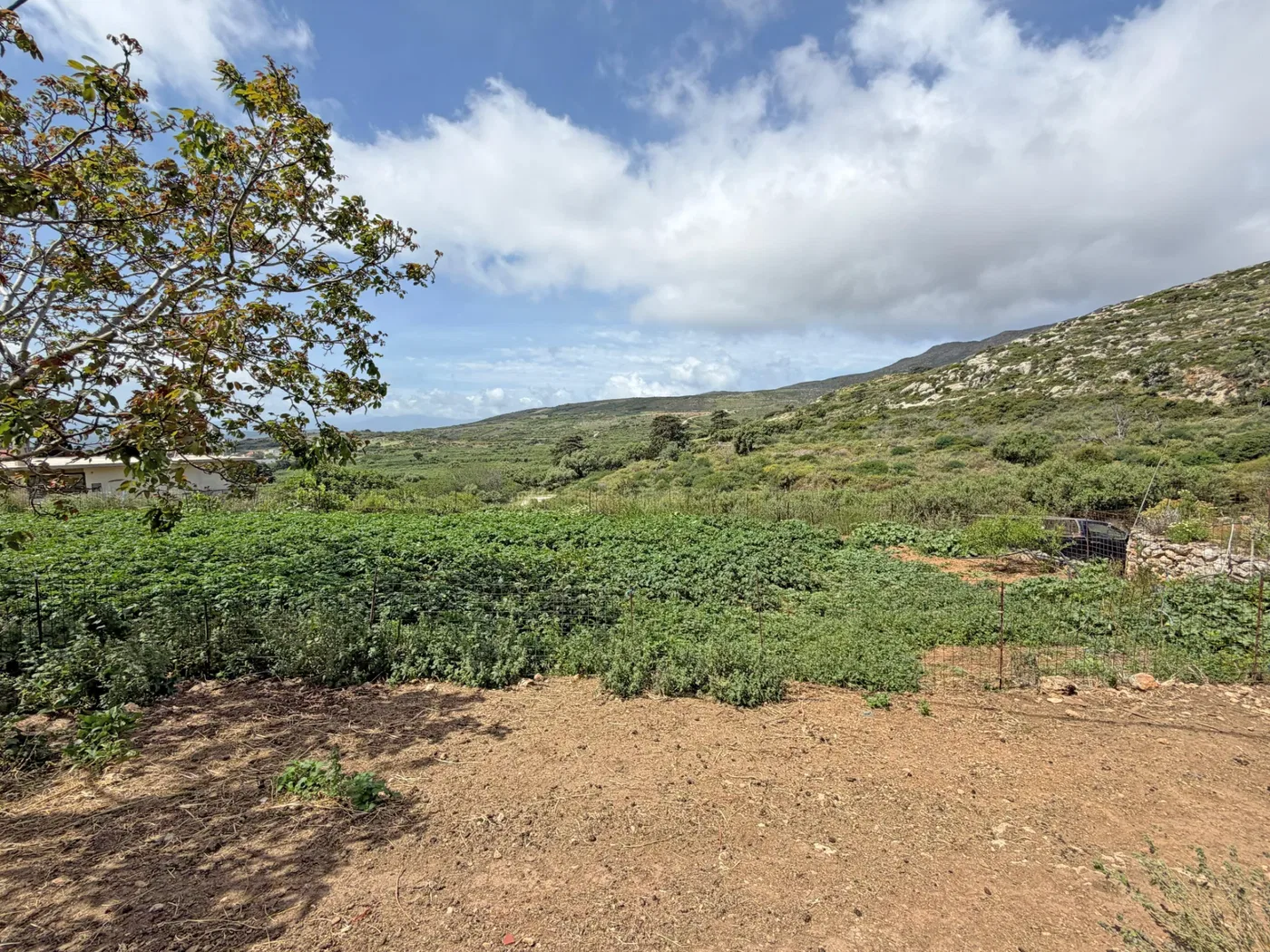 2,143 m² Plot of Land for Sale in Rodopou, Kissamos