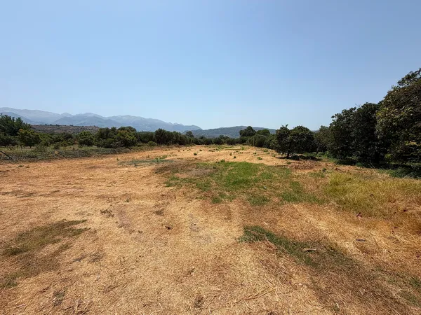 1,830 m² Land for Sale in Armenoi, Apokoronas — photo 3