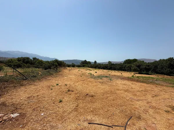 1,830 m² Land for Sale in Armenoi, Apokoronas