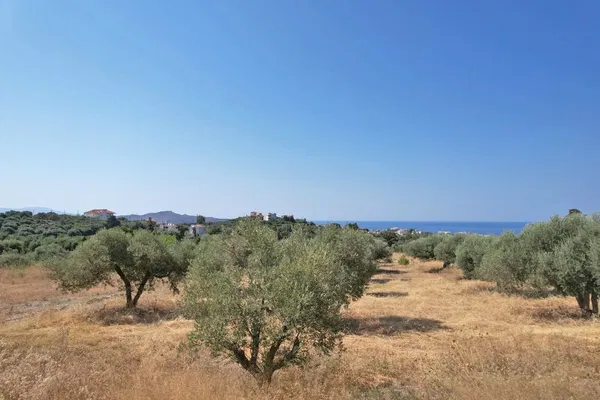 Sea-View 4,500 m² Plot of Land for Sale in Galatas, Chania — photo 2