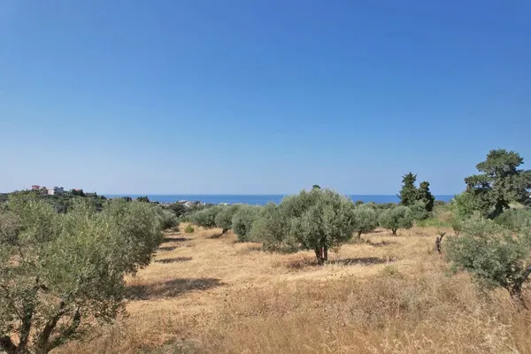 Sea-View 4,500 m² Plot of Land for Sale in Galatas, Chania — photo 3