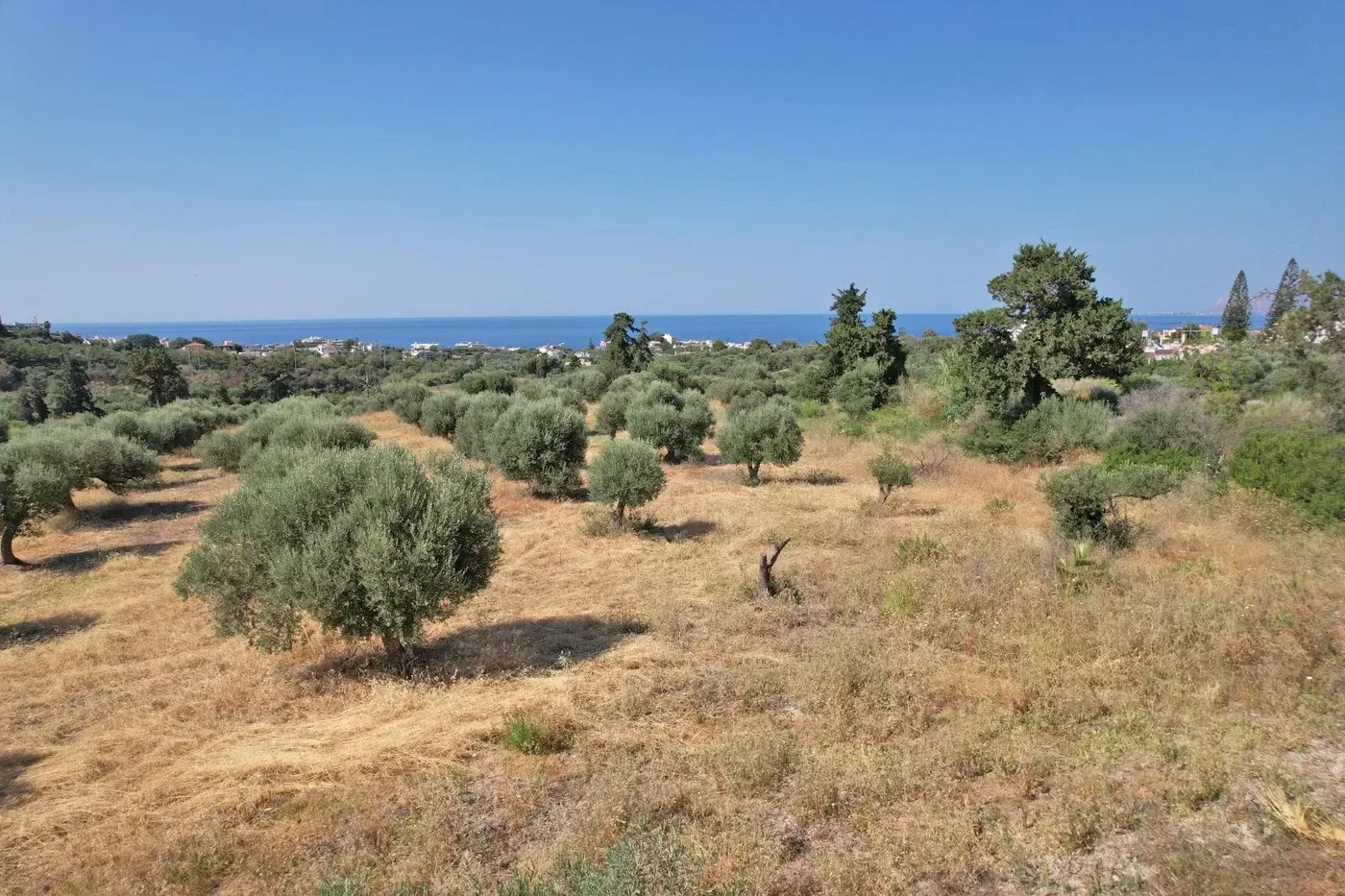 Sea-View 4,500 m² Plot of Land for Sale in Galatas, Chania
