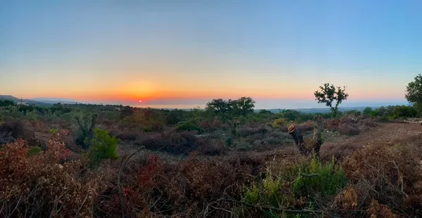 Sea-View 7,057 m² Land for Sale in Amnatos, Amari