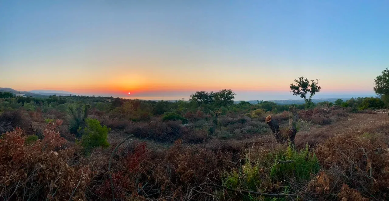 Sea-View 7,057 m² Land for Sale in Amnatos, Amari