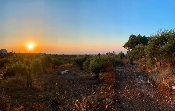 Sea-View 7,057 m² Land for Sale in Amnatos, Amari — photo 3
