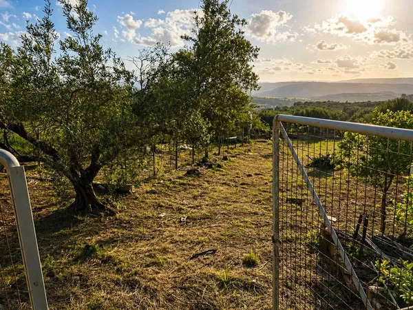 565 m² Plot of Land for Sale in Hersonissos, Heraklion — photo 4