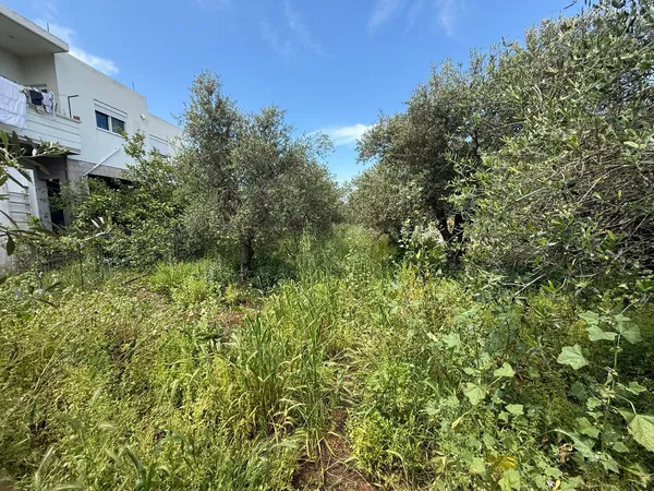 1,559 m² Land for Sale in Nerokourou, Chania — photo 3