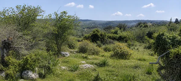 Sea-View 8,200 m² Plot for Sale in Gavalochori, Apokoronas — photo 3