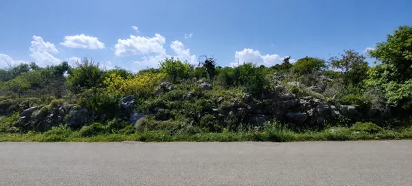 Sea-View 8,200 m² Plot for Sale in Gavalochori, Apokoronas — photo 4