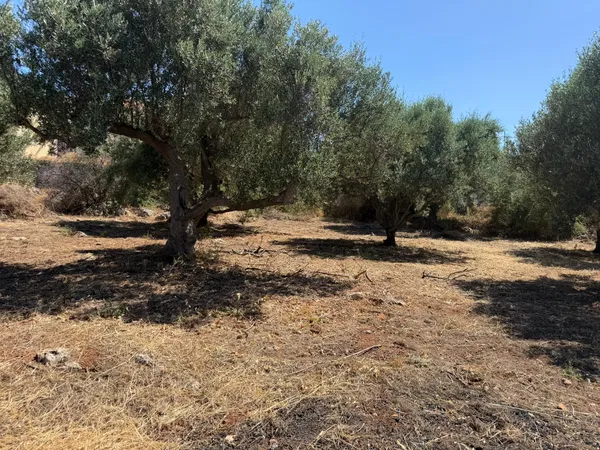 14,077 m² Land for Sale in Kokkino Chorio, Apokoronas — photo 3